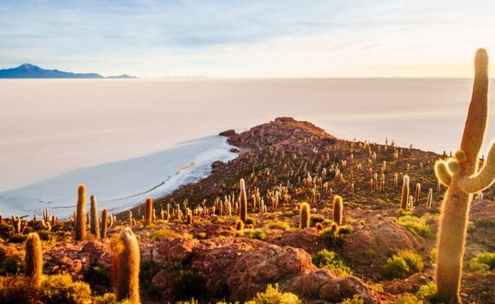 Uyuni Tour Incawasi Island