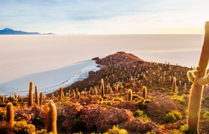 Uyuni Tour Incawasi Island