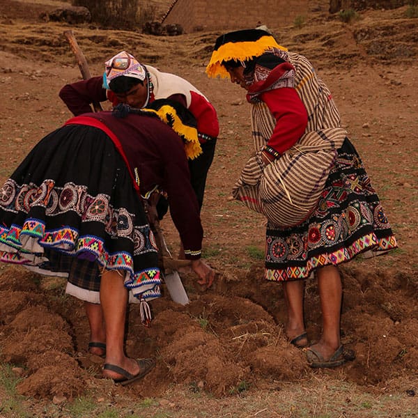 Peru Agricultural Calendar