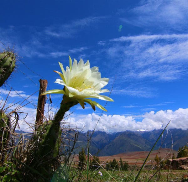 Chinchero Sacred Valley Peru