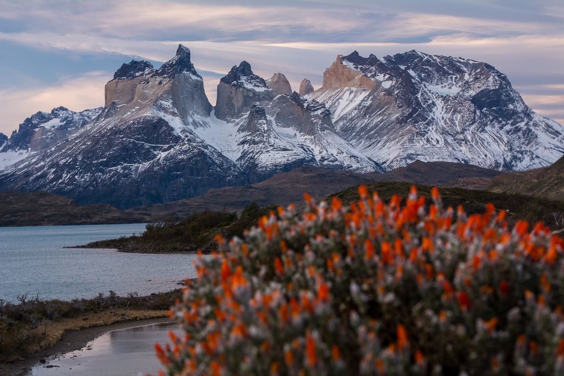 torres-del-paine-national-park-spring-color-photography