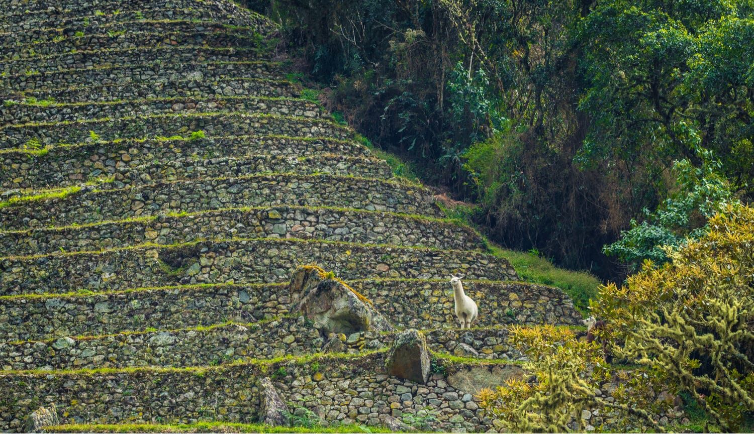 Cusco Tour Packages Main